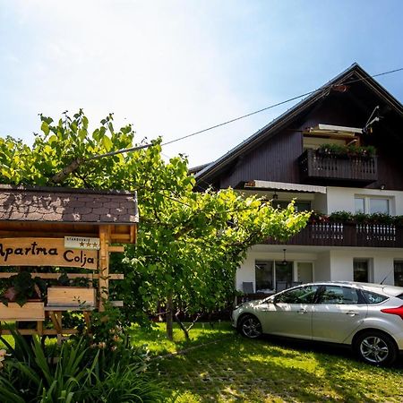 Apartmaji Colja Bohinji-tó Kültér fotó